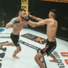 MMA Germany